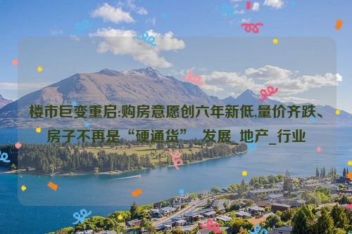 楼市巨变重启:购房意愿创六年新低,量价齐跌、房子不再是“硬通货”_发展_地产_行业