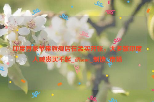 印度首家苹果旗舰店在孟买开张，大多数印度人喊贵买不起_iPhone_制造_市场