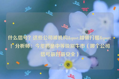 什么信号？这些公司被机构"踏破门槛"！分析师：今年将是中等级别牛市（哪个公司信号最好最安全）