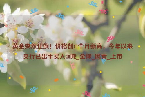 黄金突然狂飙！价格创11个月新高，今年以来央行已出手买入40吨_全球_因素_上市