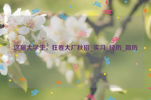 这届大学生，狂卷大厂秋招_实习_经历_简历