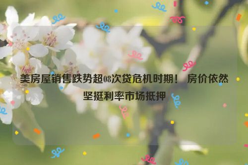 美房屋销售跌势超08次贷危机时期！ 房价依然坚挺利率市场抵押