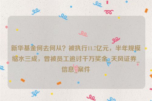 新华基金何去何从？被执行11.7亿元，半年规模缩水三成，曾被员工追讨千万奖金_天风证券_信息_案件