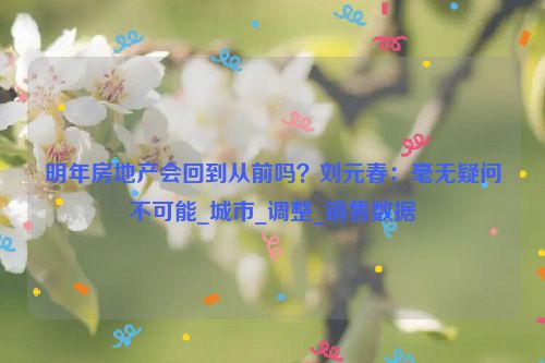 明年房地产会回到从前吗？刘元春：毫无疑问不可能_城市_调整_销售数据