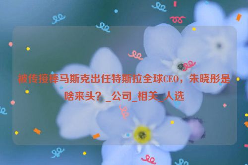 被传接棒马斯克出任特斯拉全球CEO，朱晓彤是啥来头？_公司_相关_人选