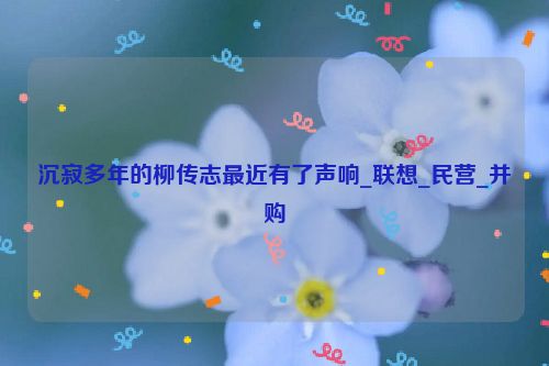 沉寂多年的柳传志最近有了声响_联想_民营_并购