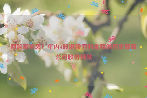 回购潮来袭！年内A股港股回购金额创历史新高公司股份预案