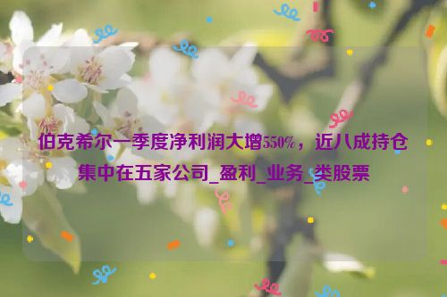 伯克希尔一季度净利润大增550%，近八成持仓集中在五家公司_盈利_业务_类股票