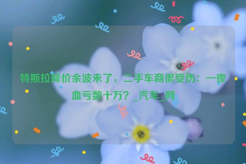 特斯拉降价余波未了，二手车商很受伤：一夜血亏数十万？_汽车_网