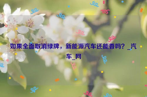 如果全面取消绿牌，新能源汽车还能香吗？_汽车_网