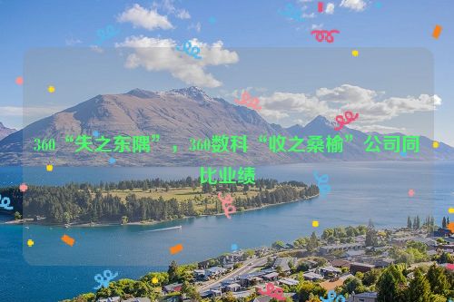 360“失之东隅”，360数科“收之桑榆”公司同比业绩