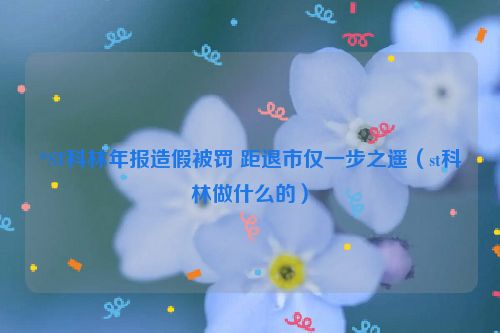 *ST科林年报造假被罚 距退市仅一步之遥（st科林做什么的）