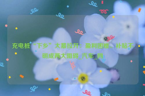 充电桩“下乡”大幕拉开：盈利困难、补贴不明成两大阻碍_汽车_网