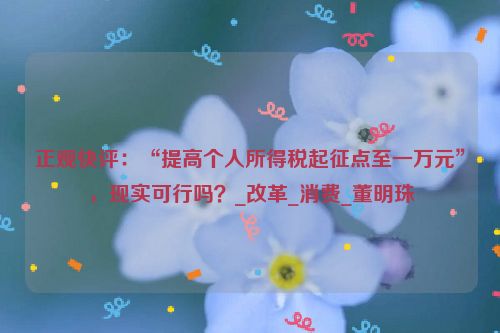 正观快评：“提高个人所得税起征点至一万元”，现实可行吗？_改革_消费_董明珠