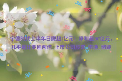 宁德时代上半年日赚超1亿元：净利超207亿元，几乎是比亚迪两倍_上市公司股东_电池_储能