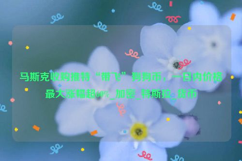 马斯克收购推特“带飞”狗狗币，一日内价格最大涨幅超60%_加密_特斯拉_货币