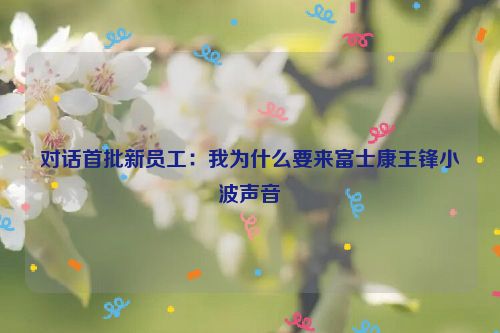 对话首批新员工：我为什么要来富士康王锋小波声音