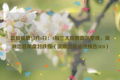 鲁股观察|3月6日：A股三大指数震荡整理，浪潮信息尾盘封跌停（浪潮信息业绩预告2020）