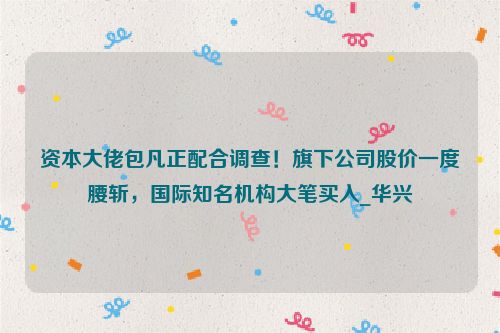 资本大佬包凡正配合调查！旗下公司股价一度腰斩，国际知名机构大笔买入_华兴