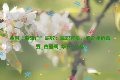 金融“旋转门”腐败：离职官员，被企业抢着要_姜丽明_华兴_丛林