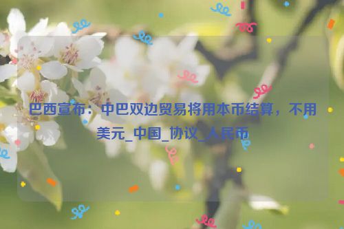 巴西宣布：中巴双边贸易将用本币结算，不用美元_中国_协议_人民币