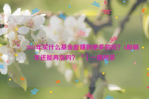 “​2021年买什么基金能赚到更多的钱？A股明年还能再涨吗？“｜一周问答