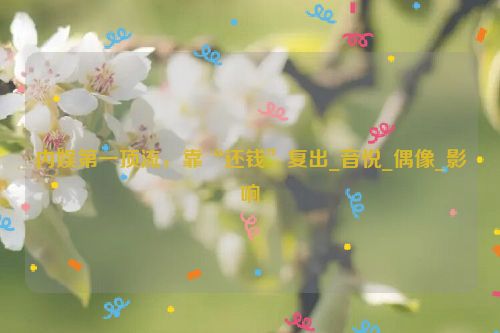 内娱第一顶流，靠“还钱”复出_音悦_偶像_影响