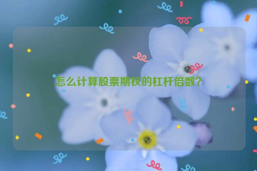 怎么计算股票期权的杠杆倍数？