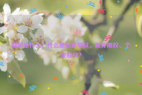 期权是什么？什么是股票期权、场外期权、个股期权？