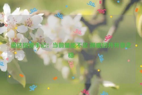 道达投资手记：当前量能不足 探底回升并非企稳