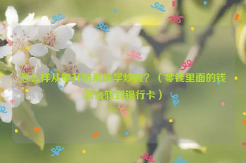 怎么样从零开始系统学炒股？（零钱里面的钱怎么转到银行卡）