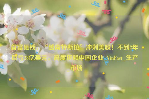 首富砸钱，“越南特斯拉”冲刺美股！不到2年巨亏28亿美元，高度依赖中国企业_VinFast_生产_市场