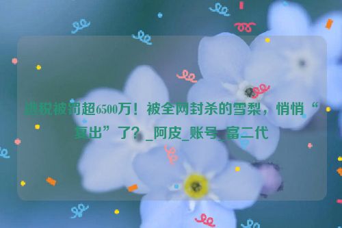 逃税被罚超6500万！被全网封杀的雪梨，悄悄“复出”了？_阿皮_账号_富二代