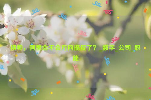 换帅，阿里会不会方向搞反了？_数字_公司_职能