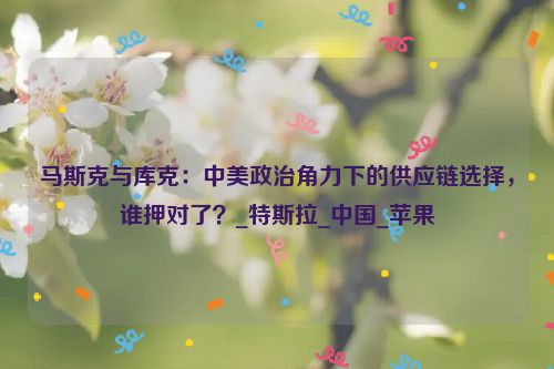 马斯克与库克：中美政治角力下的供应链选择，谁押对了？_特斯拉_中国_苹果