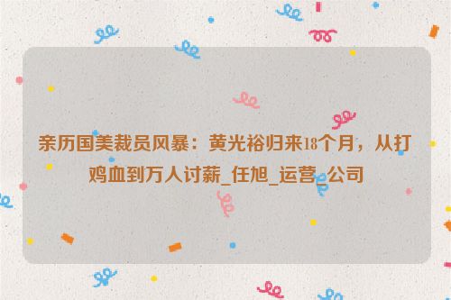 亲历国美裁员风暴：黄光裕归来18个月，从打鸡血到万人讨薪_任旭_运营_公司