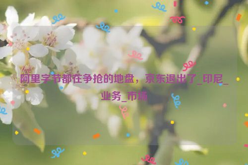 阿里字节都在争抢的地盘，京东退出了_印尼_业务_市场