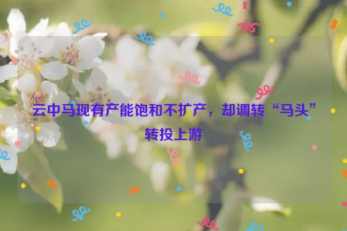 云中马现有产能饱和不扩产，却调转“马头”转投上游