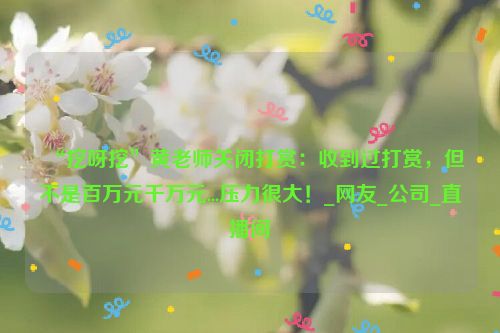 “挖呀挖”黄老师关闭打赏：收到过打赏，但不是百万元千万元...压力很大！_网友_公司_直播间