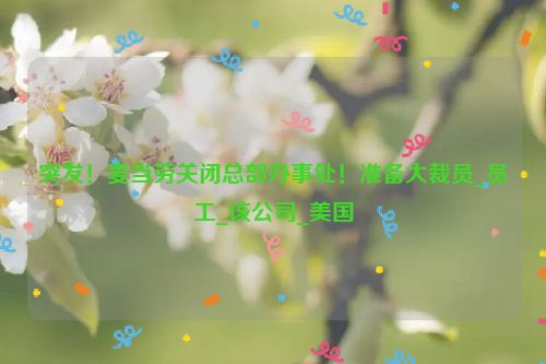 突发！麦当劳关闭总部办事处！准备大裁员_员工_该公司_美国