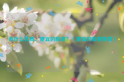 有什么优质、便宜的股票？（便宜的股票推荐）