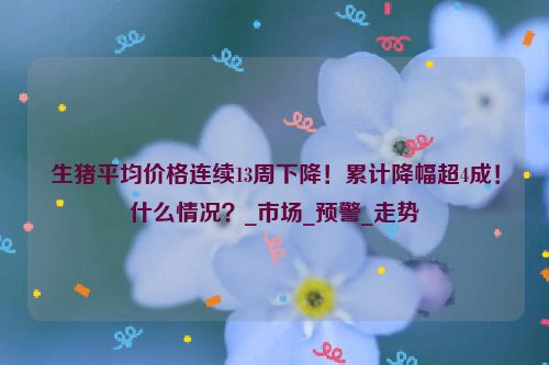 生猪平均价格连续13周下降！累计降幅超4成！什么情况？_市场_预警_走势