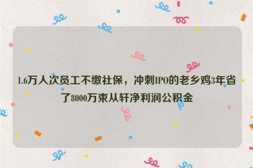 1.6万人次员工不缴社保，冲刺IPO的老乡鸡3年省了8000万束从轩净利润公积金