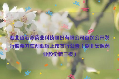 湖北省宏源药业科技股份有限公司首次公开发行股票并在创业板上市发行公告（湖北宏源药业股份新三板）