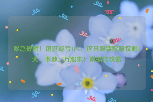 紧急提醒！错过或亏11%，这只股票配股仅剩1天，事涉2.7万股东！附操作攻略