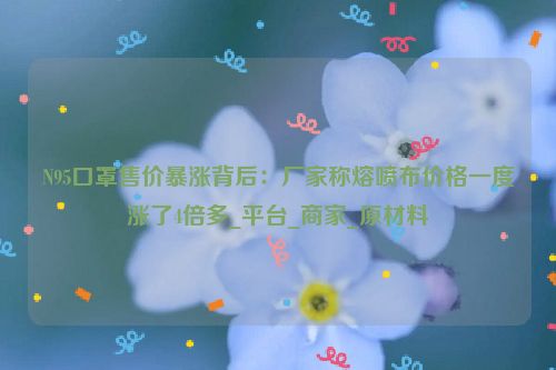 N95口罩售价暴涨背后：厂家称熔喷布价格一度涨了4倍多_平台_商家_原材料