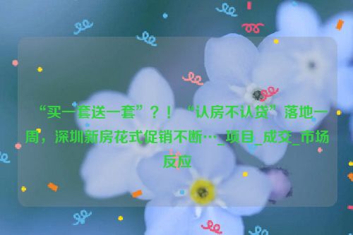 “买一套送一套”？！“认房不认贷”落地一周，深圳新房花式促销不断…_项目_成交_市场反应