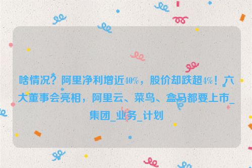 啥情况？阿里净利增近40%，股价却跌超4%！六大董事会亮相，阿里云、菜鸟、盒马都要上市_集团_业务_计划