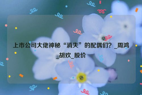 上市公司大佬神秘“消失”的配偶们？_周鸿祎_胡欢_股价