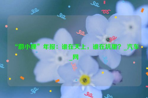 “蔚小理”年报：谁在天上，谁在坑里？_汽车_网